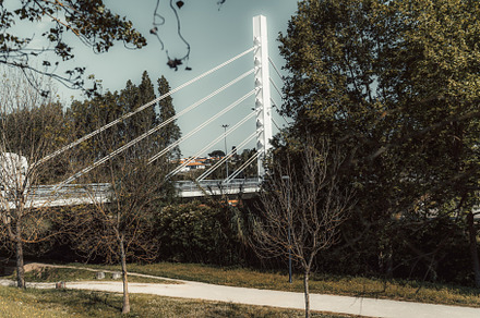 White cable bridge amid green trees, an Architecture Photo by SkyNext