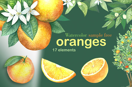 Watercolor oranges
