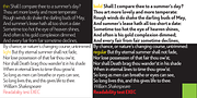 Exec, a Sans Serif Font by Wiescher-Design (Thumbnail 8 of 12)