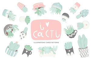 Sweet succulent & cacti collection♥️