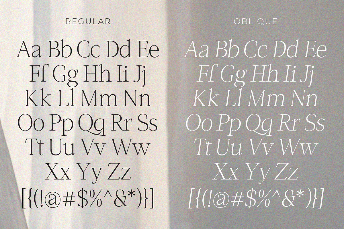Role Model | Contemporary Serif, a Serif Font by Ef Studio (Photo 13 of 13)
