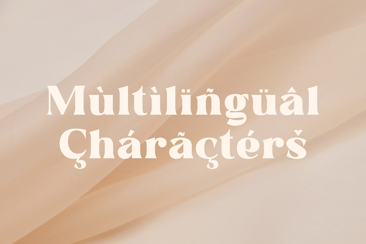 Quails | A Modern Display Serif, a Serif Font by Andrimada Creative (Photo 13 of 13)