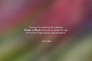 Etudes in Bloom - Blurry Backgrounds, a Background Graphic by Dina Mae (Thumbnail 13 of 13)
