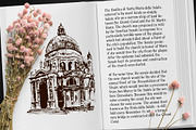 Veneziano, a Serif Font by Everilda (Thumbnail 2 of 7)