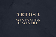 Tamira - Luxe Serif Typeface, a Serif Font by VP Fonts (Thumbnail 7 of 12)
