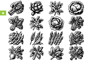 Vintage Vegetables Set, an Object Graphic by RT Studio