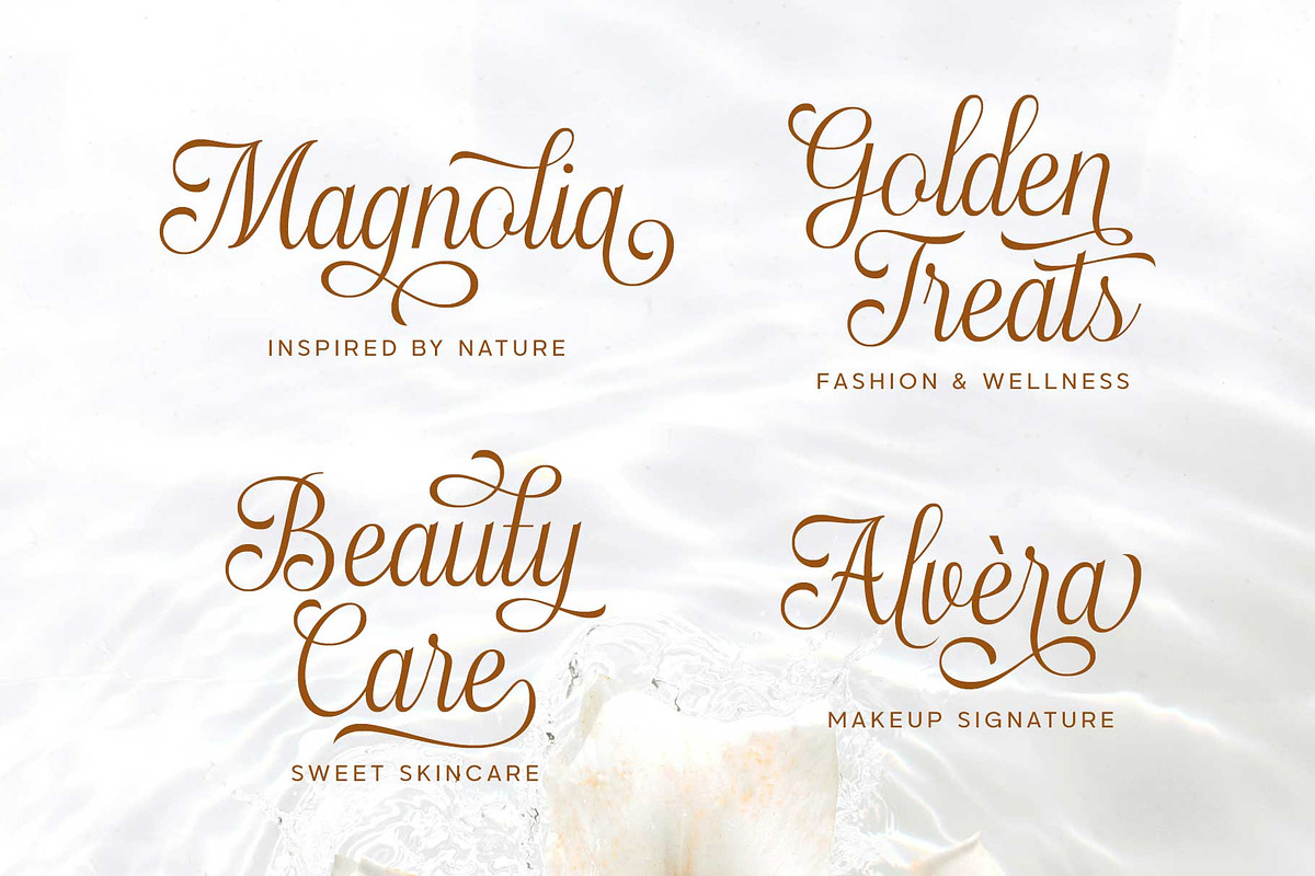 Haydenta - Calligraphic Script, a Script Font by Novitype (Photo 10 of 12)