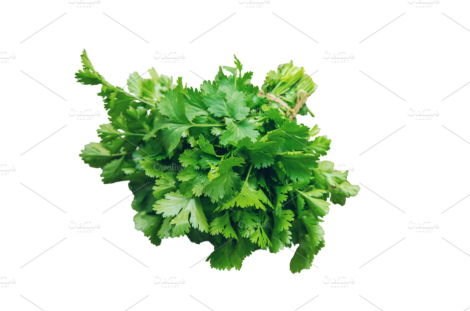 Fresh homemade greens from the, a Food & Drink Photo by yanadjana