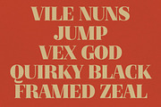 Serifine, a Serif Font by graphicook (Thumbnail 5 of 10)