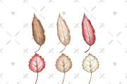 Alpaca Cliparts, an Illustration by Phantasia Design (Thumbnail 8 of 8)