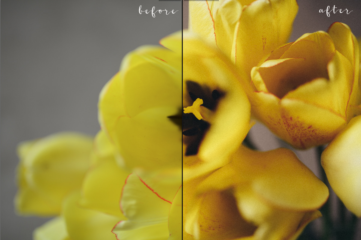 9 FILM presets for lightroom, a Preset Add-On by Trofimova Veronika (Photo 2 of 8)