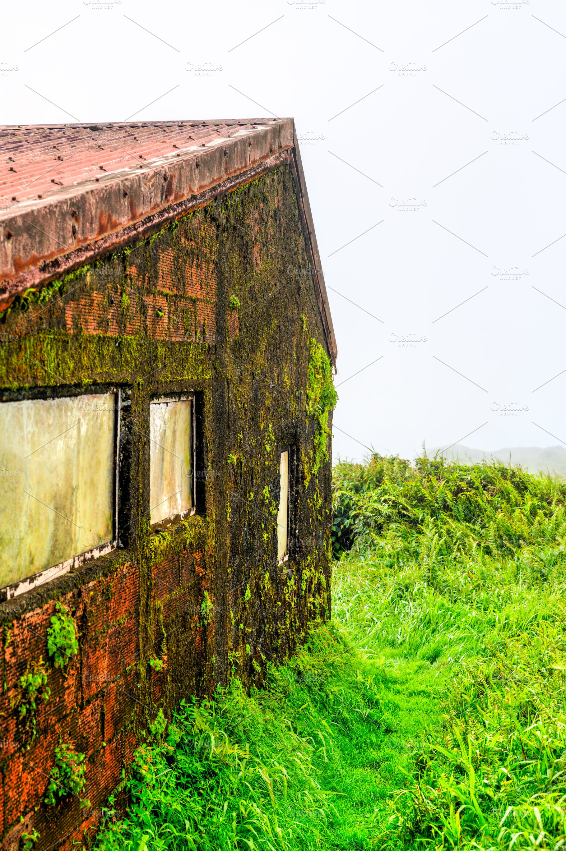Mossy mountain refuge building on Mount Pelee in Martinique, an Architecture Photo by Leonid Andronov