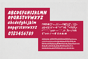 LazyHouse - Bold Display Font, a Handwritten Font by Typeparties (Thumbnail 9 of 9)