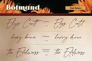 Bolmand Signature, a Serif Font by Burntilldead (Thumbnail 8 of 12)
