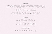 BLONDIE SCRIPT, a Handwritten Font by supfonts (Thumbnail 8 of 8)