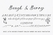 Bough and Berry - Handwritten font, a Handwritten Font by BitongType (Thumbnail 3 of 10)