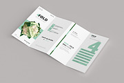 165 Brochure Mock-ups Big Bundle, a Print Template by pmvch (Thumbnail 27 of 170)