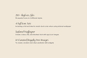 Felicity - 350+ iOS App Icon Set, an Icon by Mother Creative (Thumbnail 4 of 7)
