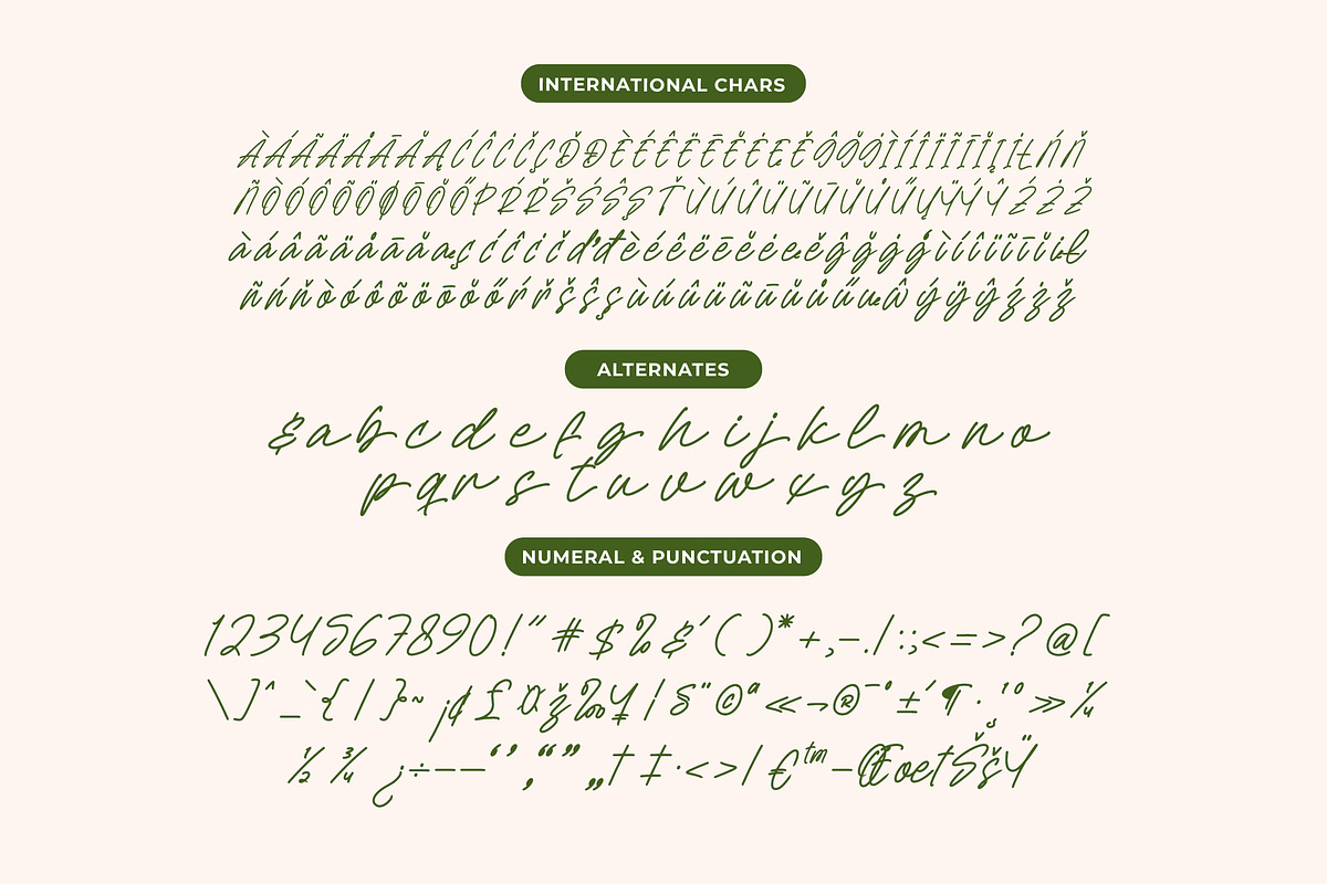 Sejatty Gartena Aesthetic Font, a Script Font by Letterena Studios Script (Photo 13 of 15)