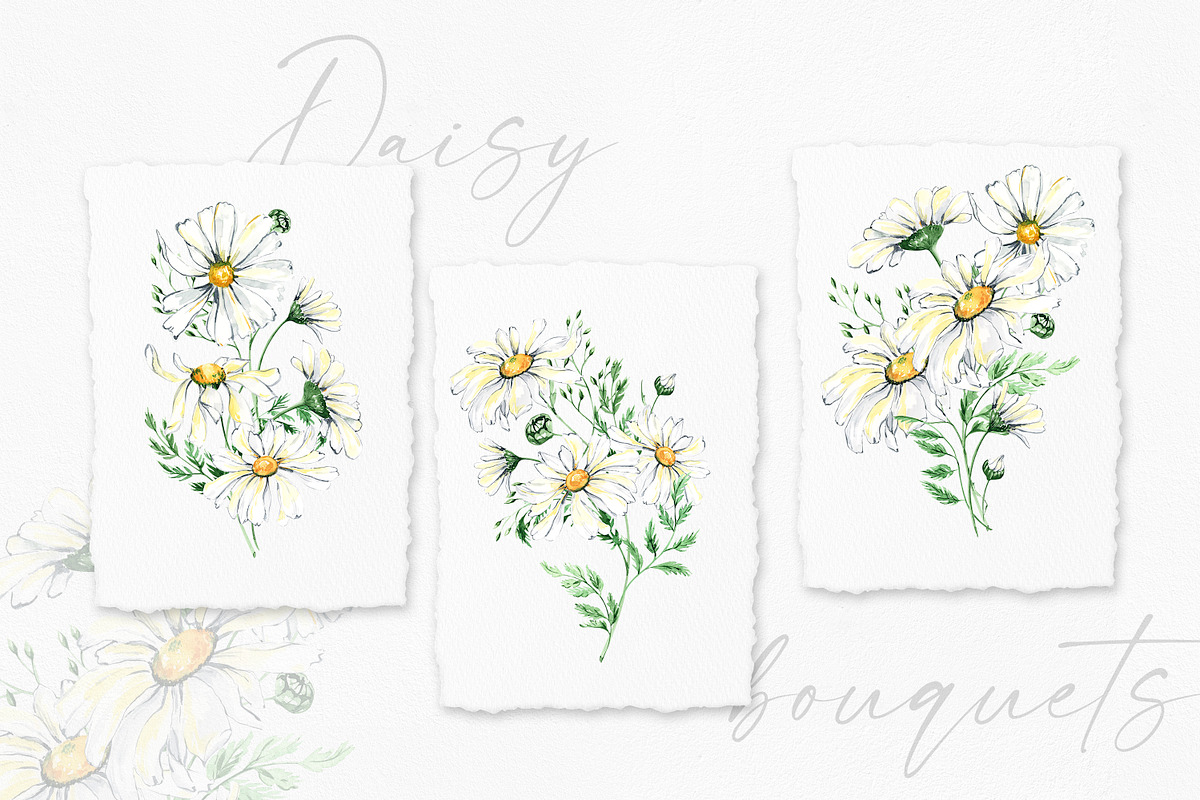 Watercolor Daisies, an Object Illustration by Olga Koelsch (Photo 3 of 12)