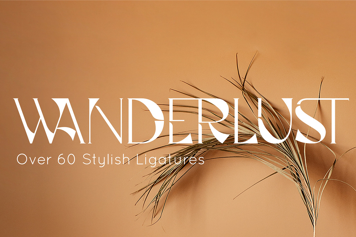 Elegant & Modern Font Bundle | Sale, a Sans Serif Font by Anna Zakharchenko (Photo 29 of 37)
