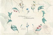 Vintage Garden Flowers, a Decorative Illustration by Evenif (Thumbnail 8 of 22)