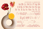 Salctego Modern Luxury Display, a Sans Serif Font by timelesstype.co (Thumbnail 19 of 20)