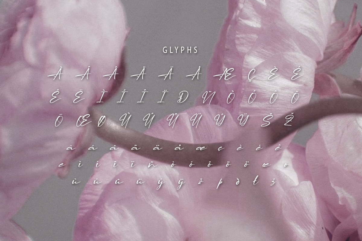 Lapierro Script, a Script Font by GlottaTypeface (Photo 7 of 8)