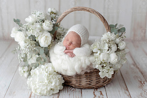 Newborn Basket Digital Backdrop