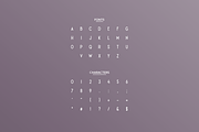 Elbone - Modern Display Typeface, a Slab Serif Font by Letterna (Thumbnail 3 of 4)