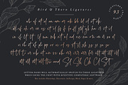 Bird & Thorn, a Script Font by Sam Parrett (Thumbnail 7 of 8)