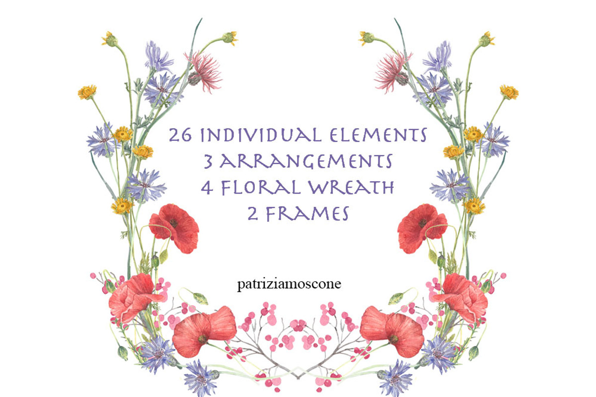 Wildflowers, an Illustration by patriziamoscone (Photo 8 of 10)