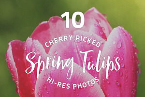 Spring Tulips - photo pack