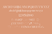 Balona Modern Serif, a Serif Font by Maryamtype Studio (Thumbnail 12 of 13)