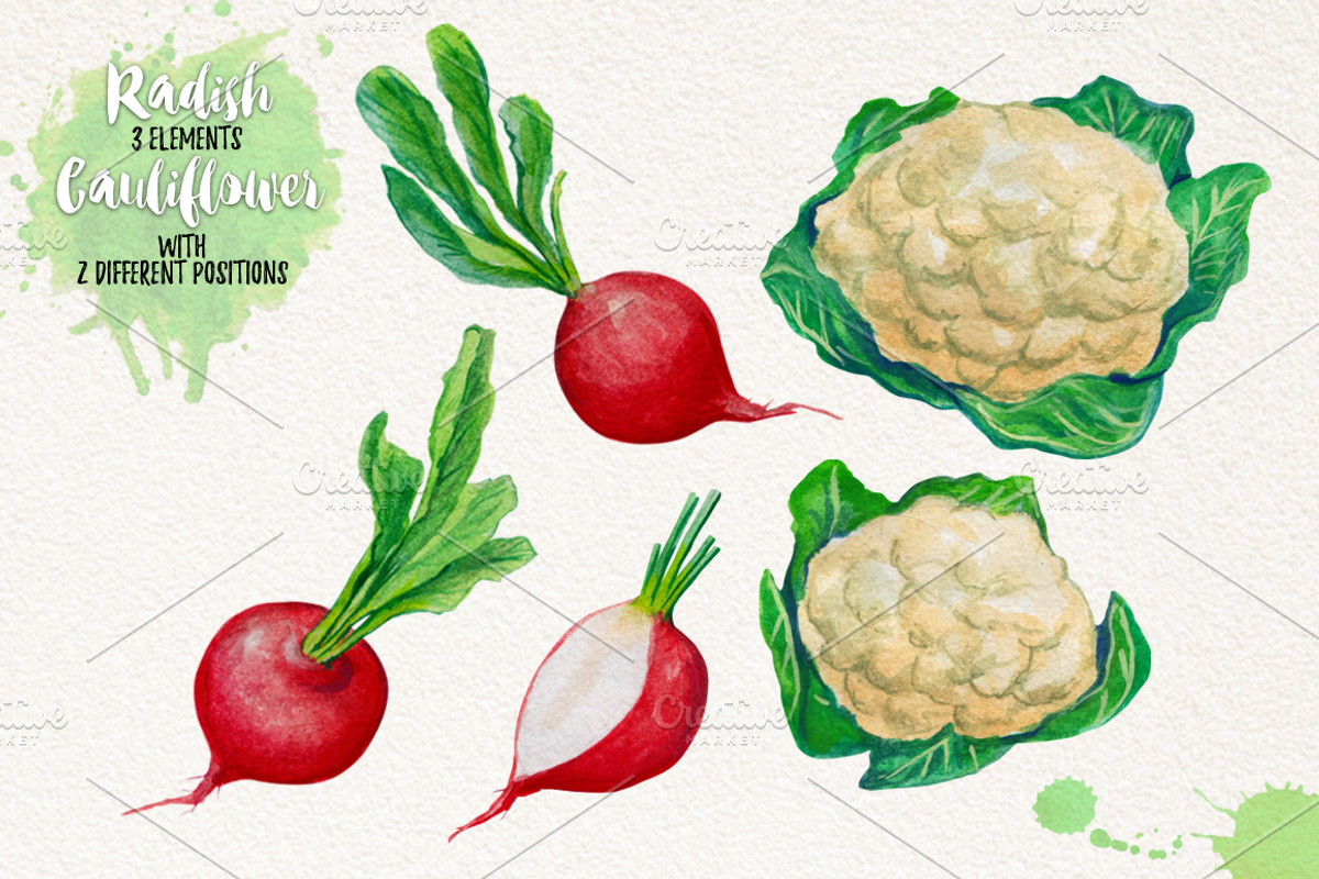 Watercolor Vegetables, Herbs, an Animal Illustration by Graphobia (Photo 6 of 12)