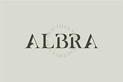 ALBRA - A Beautiful Serif, a Serif Font by Vroz Studio (Thumbnail 5 of 8)