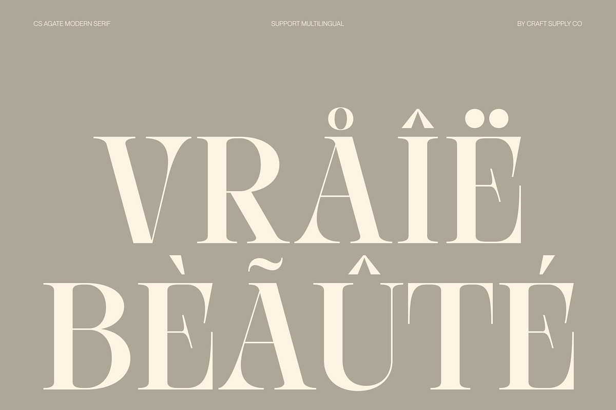 CS Agate – Modern Serif Font, a Serif Font by Craft Supply Co. (Photo 6 of 8)