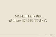 Dree serif typeface - 6 fonts, a Serif Font by Only Fonts (Thumbnail 4 of 10)