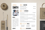 Resume Template 4 page  | Chicago, a Resume Template by Resume Angels (Thumbnail 1 of 8)