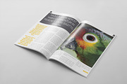 Magazine Template 41, a Magazine Template by pmvch (Thumbnail 3 of 10)