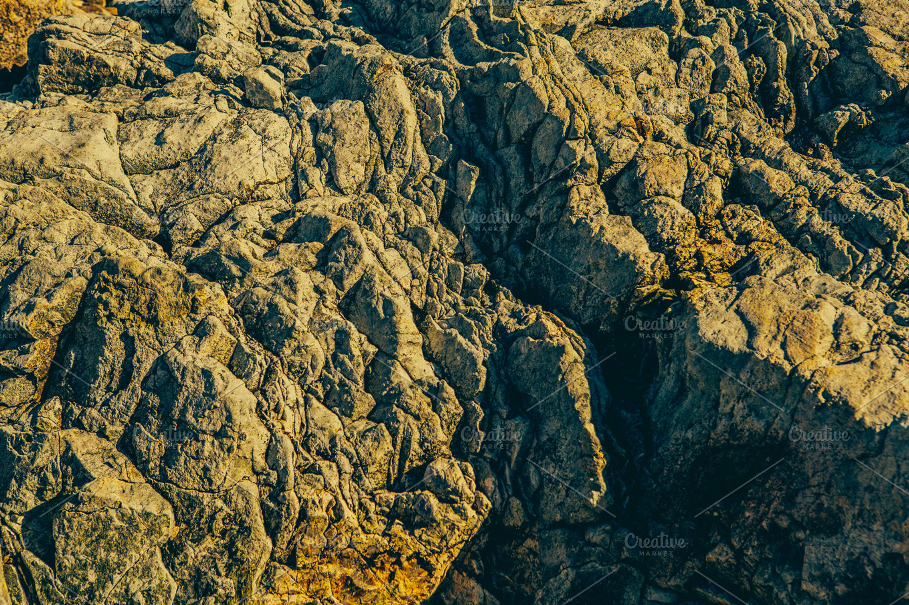 Rocky coast featuring acadia, national park, and atlantic ocean, a Nature Photo by Moth Owl Photography