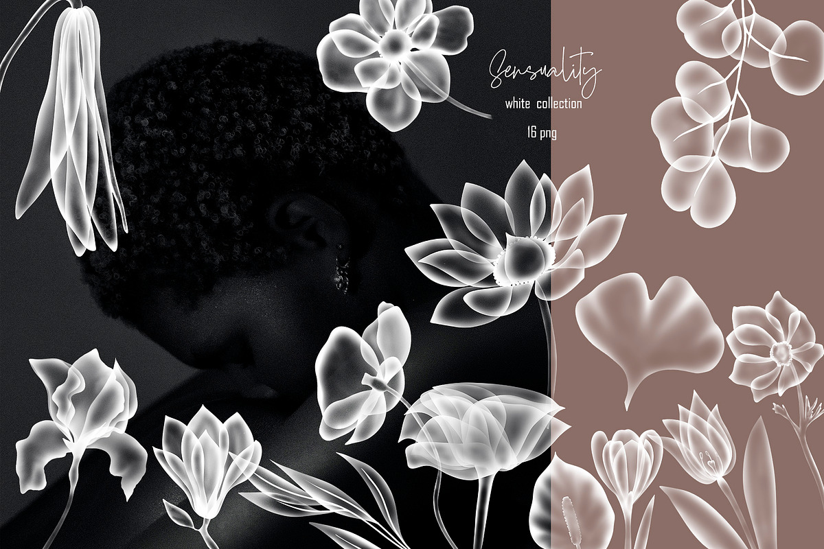 TRANSPARENT FLORA abstract BUNDLE, a Texture Illustration by ArtOLB (Photo 7 of 14)
