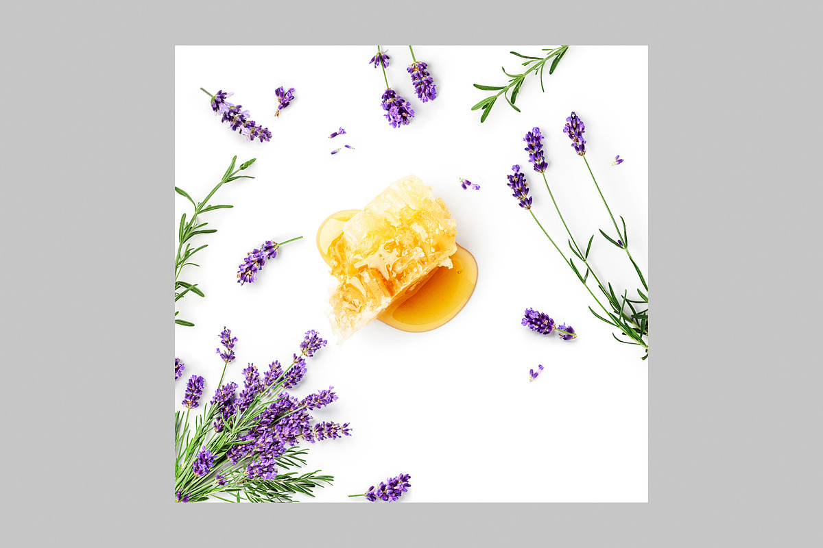 Lavender Herb Photo Pack, a Nature Photo by ifiStudio (Photo 9 of 14)