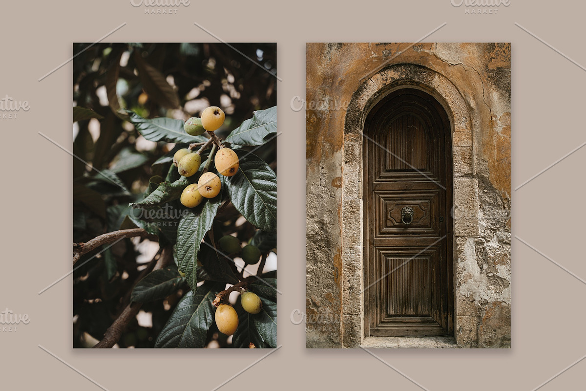 Lifestyle Essentials 10, a Wallpaper Photo by Floral Deco (Photo 5 of 7)