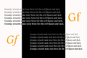 Fenoom Elegant Serif Font, a Serif Font by Attractype (Thumbnail 7 of 8)