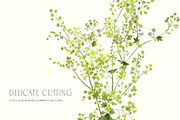 JUNE Watercolor Summer Collection, a Decorative Illustration by Kaleriia (Thumbnail 11 of 15)