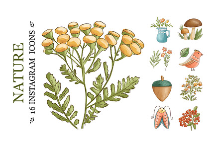 NATURE 16 instagram icons