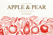 Apple & Pear Vector Collection, a Food Illustration by Lubov Illustrations Shop (Thumbnail 1 of 4)