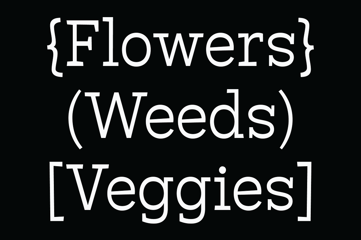 Bardamu - Happy & Weird Slab Serif preview 7