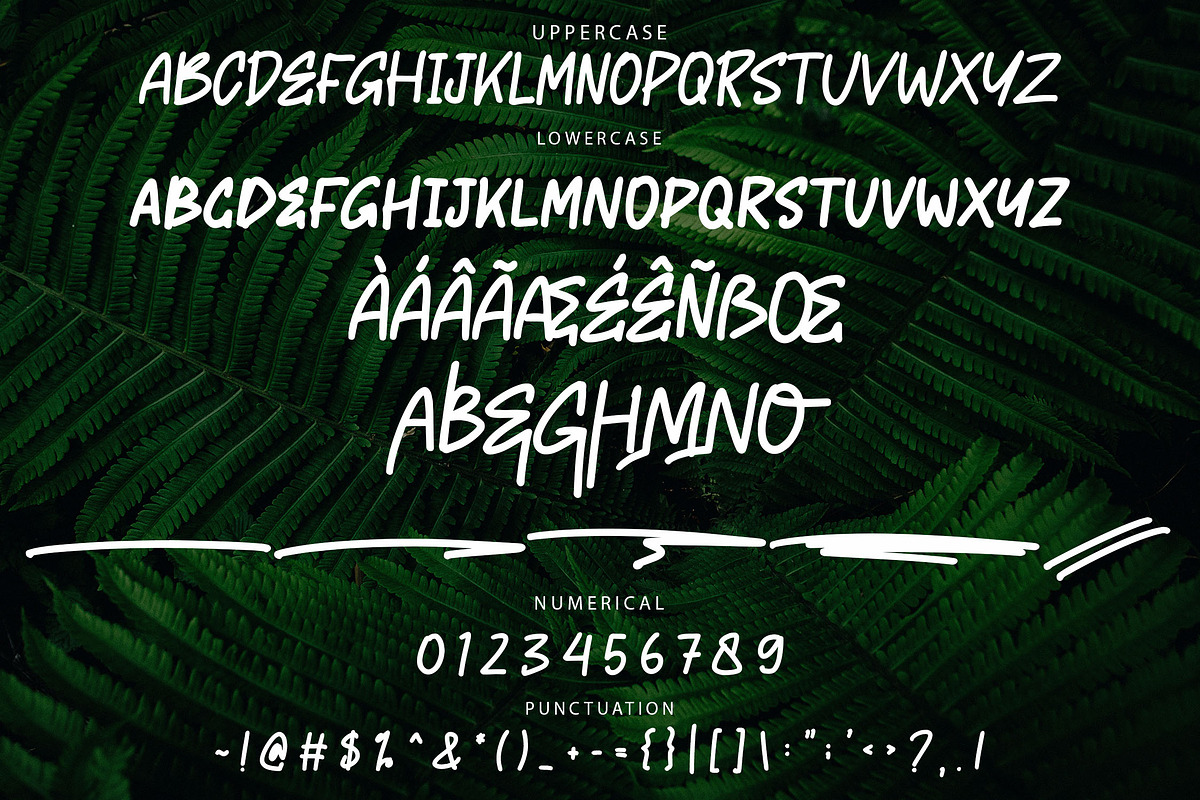 HONEKE Monoline Brush Font, a Handwritten Font by NTC Graphic (Photo 8 of 9)